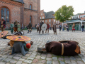 Seelenfänger Photographie | Slawen- und Wikingermarkt Plön 2025