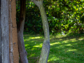 Seelenfänger Photographie | Steinzeitpark Dithmarschen