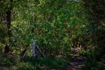 Seelenfänger Photographie | Ribe VikingeCenter 2026