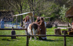 Seelenfänger Photographie | Ribe VikingeCenter 2026