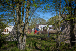 Seelenfänger Photographie | Ribe VikingeCenter 2026