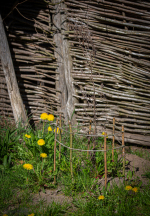 Seelenfänger Photographie | Ribe VikingeCenter 2026