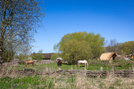 Seelenfänger Photographie | Ribe VikingeCenter 2026