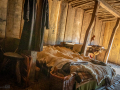 Seelenfänger Photographie | Ribe VikingeCenter 2026
