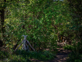 Seelenfänger Photographie | Ribe VikingeCenter 2026