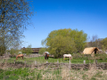 Seelenfänger Photographie | Ribe VikingeCenter 2026
