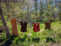 Seelenfänger Photographie | Ribe VikingeCenter 2026