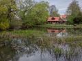 Seelenfänger Photographie | Stadt Ribe