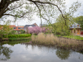 Seelenfänger Photographie | Stadt Ribe