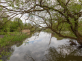 Seelenfänger Photographie | Stadt Ribe