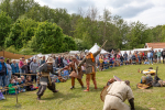 Seelenfänger Photographie | Mittelalter Live im Tierpark Arche Warder 2026