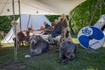 Seelenfänger Photographie | Mittelalter Live im Tierpark Arche Warder 2026