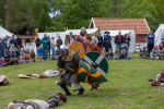 Seelenfänger Photographie | Mittelalter Live im Tierpark Arche Warder 2026