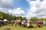 Seelenfänger Photographie | Mittelalter Live im Tierpark Arche Warder 2026