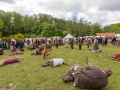 Seelenfänger Photographie | Mittelalter Live im Tierpark Arche Warder 2026