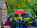 Seelenfänger Photographie | Mittelalter Live im Tierpark Arche Warder 2026