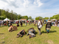 Seelenfänger Photographie | Mittelalter Live im Tierpark Arche Warder 2026