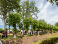 Seelenfänger Photographie |  Wikinger Sommer 2026 am Roten Hauberg
