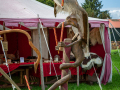 Seelenfänger Photographie |  Mittelaltermarkt Hadenfeld 2026