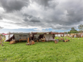 Seelenfänger Photographie |  Mittelaltermarkt Hadenfeld 2026