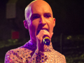 Seelenfänger Photographie |  Leopold auf dem Summer Open Air  in Meldorf 2026