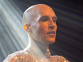 Seelenfänger Photographie |  Leopold auf dem Summer Open Air  in Meldorf 2026