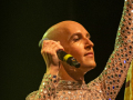 Seelenfänger Photographie |  Leopold auf dem Summer Open Air  in Meldorf 2026