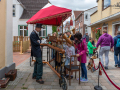 Seelenfänger Photographie | Meldorfer Strassenfieber 2022