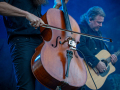 Seelenfänger Photographie |  Lucy Fairs Garden Festival 2026