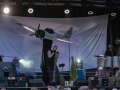 Seelenfänger Photographie |  Lucy Fairs Garden Festival 2026