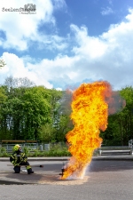 Seelenfänger Photographie | Meldorf Woche 2019