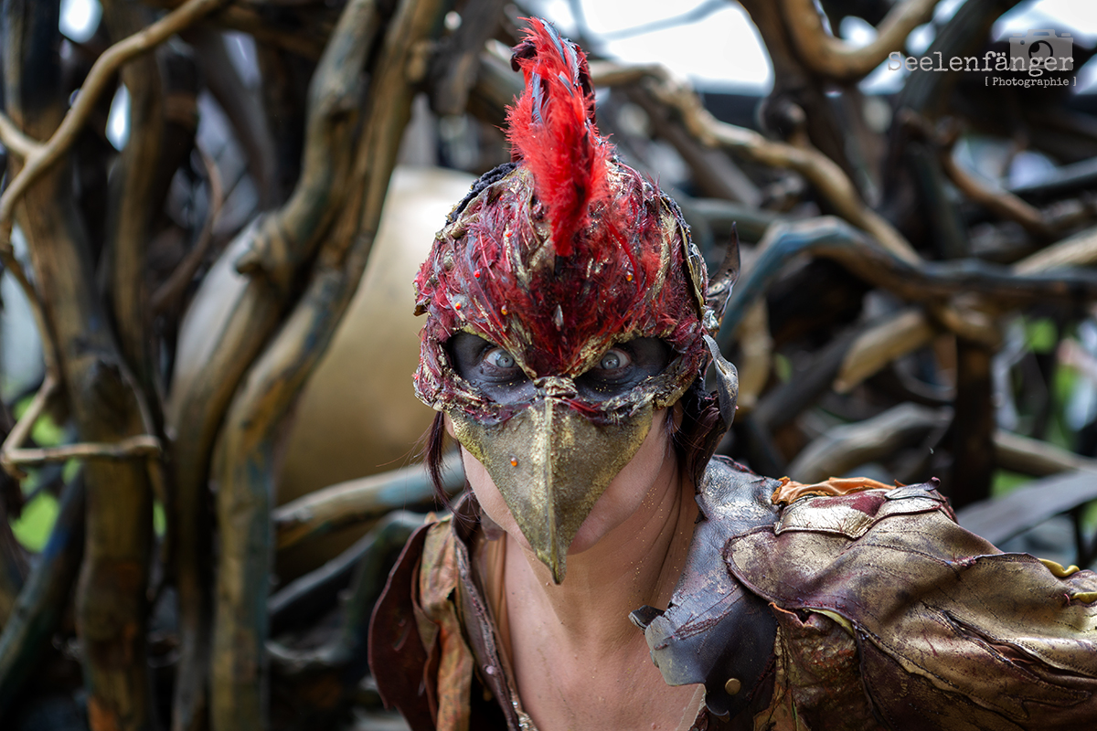 Mittelalterlich Phantasie Spectaculum Hohenwestedt 2018